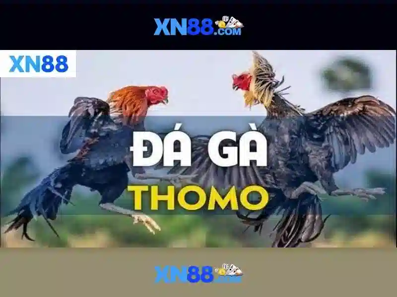 💎star of phoenix slot machine💎