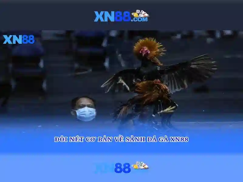 💎888slot bottle💎