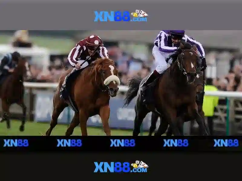 💎euro 2024 kèo nhà cái💎