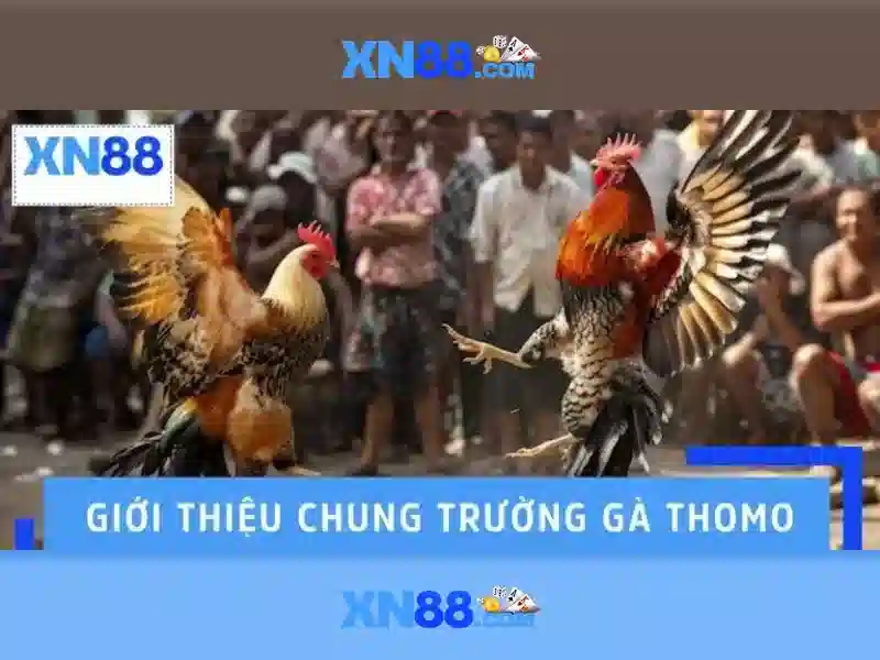 💎188bet nhà cái cá cược trực tuyến💎