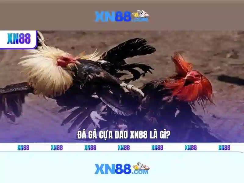 💎nhà cái mr cường💎
