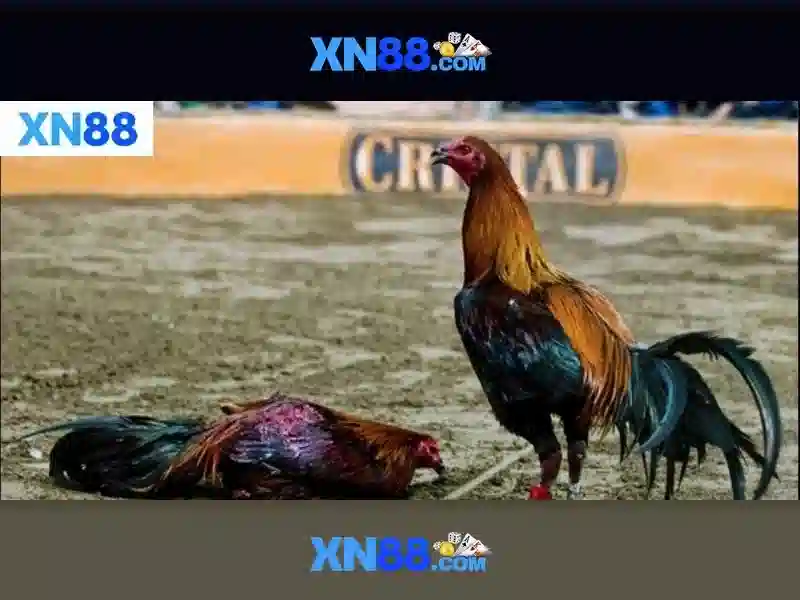 💎sòng bạc hoàng gia hd💎