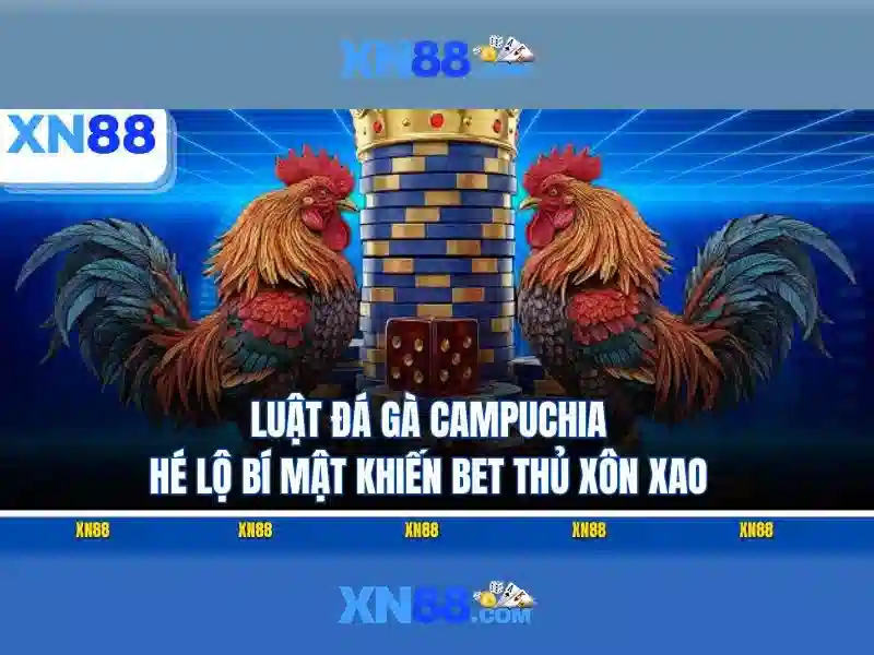 💎kèo nhà cái trực tiếp bóng đá cúp c1💎