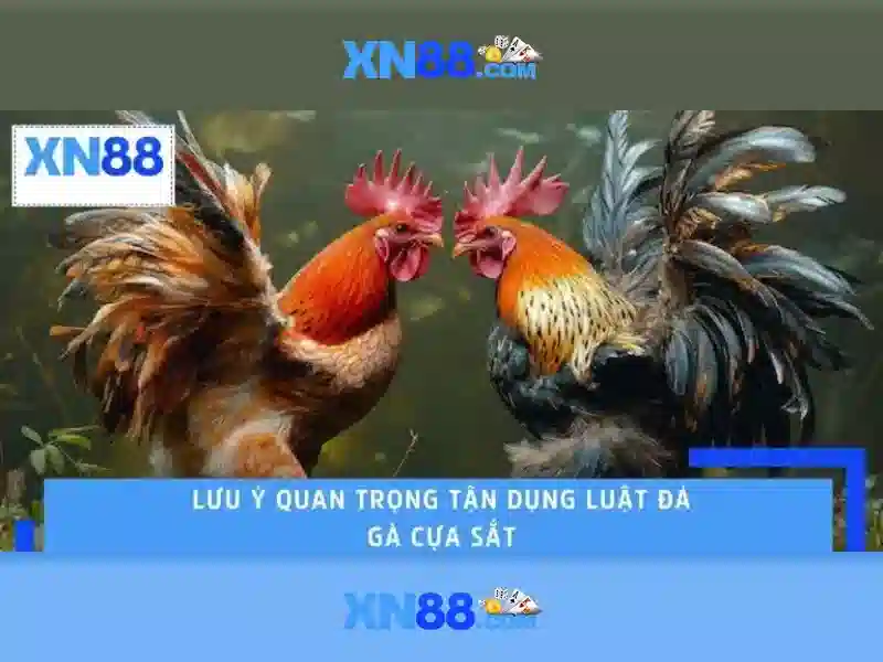 💎tỷ lệ kèo nhà cái 5 com💎