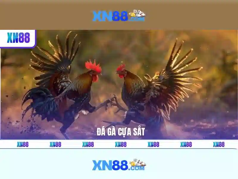 💎đăng nhập s666 nhà cái💎