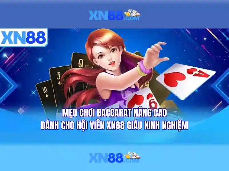 💎nhà cái hàng đầu💎