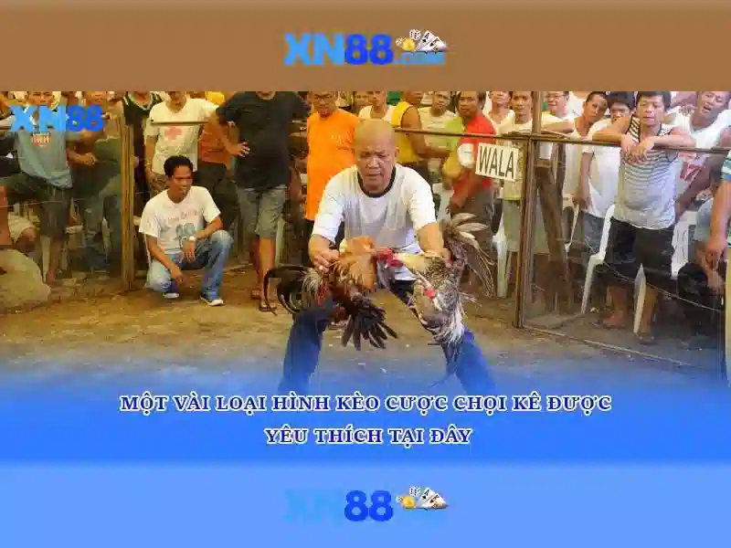 💎fabet hiện đăng mở💎 - ca cuoc fabet - fabet trong vòng 20 dặm