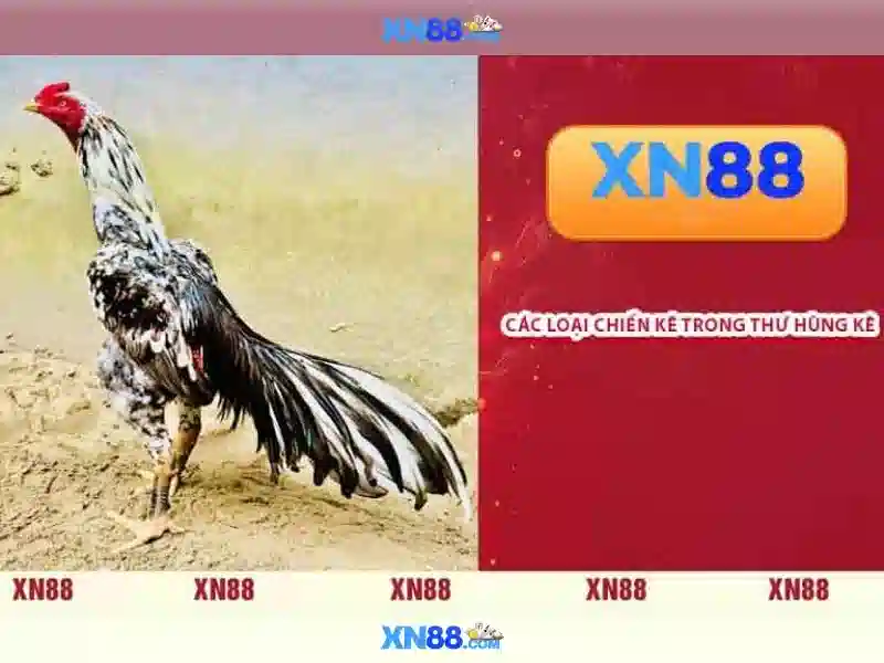 💎nhà cái bg86💎