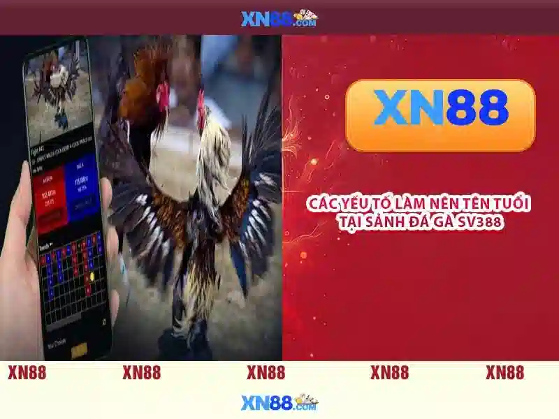 💎sin88 win💎 - sin88 app - sin88 bóng đá