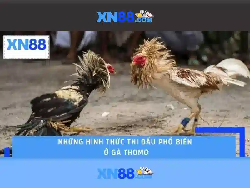 💎bắc sông trới💎