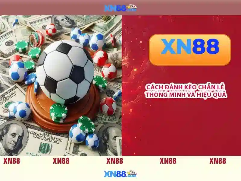 💎nhà xe quốc cường lào cai💎