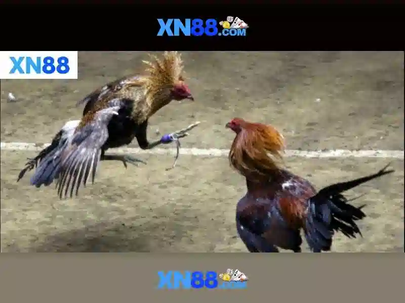 💎tại sin88 mx💎 - sin88 casino - sin88 mới