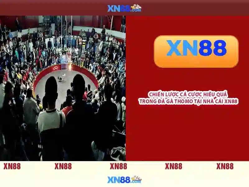 💎link vao sin88 moi nhat💎 - gift code sin88 - điều kiện rút tiền sin88