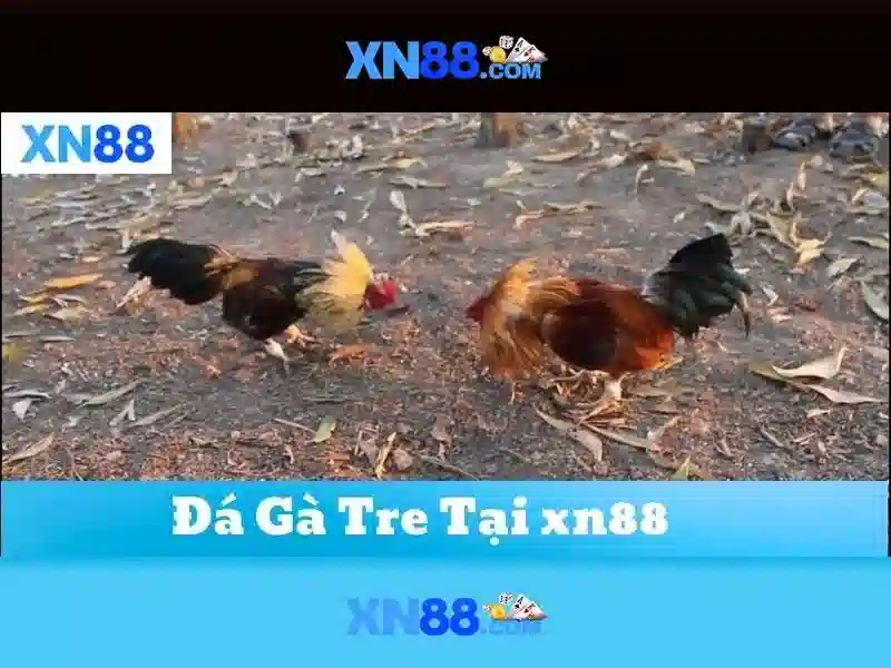 💎slot drain for shower💎