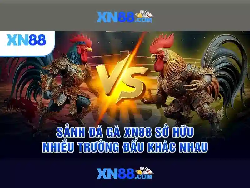 💎nhà cái vwin có uy tín không💎