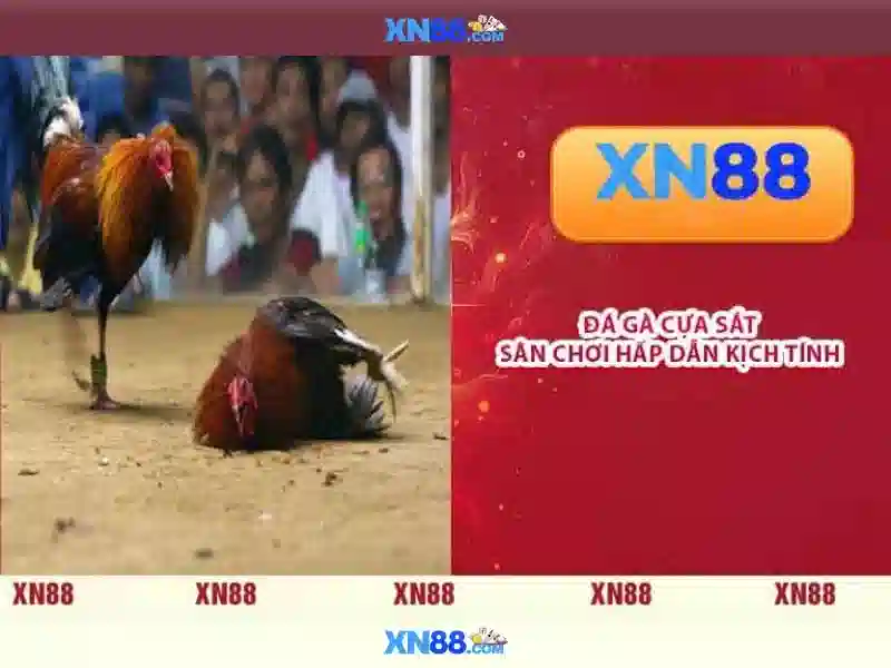 💎xn88 best💎 - ap xn88 - xn88 mobi