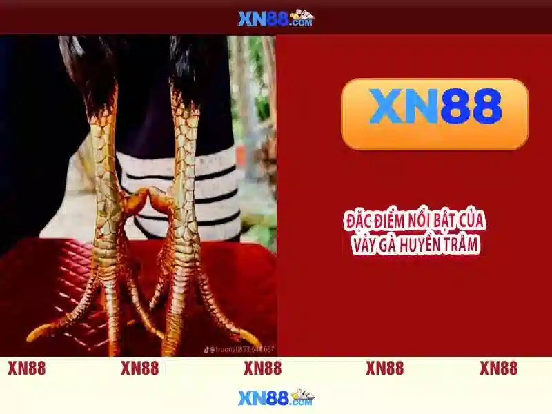 💎sin88 trang chủ💎 - sin88 lừa đảo - sin88 casino sin88