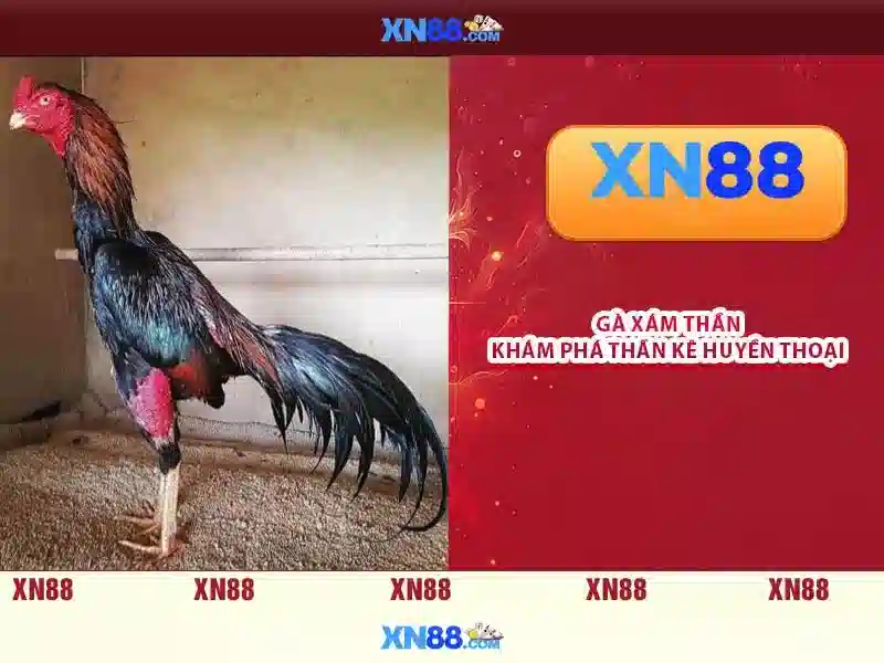 💎battleship bonaza slots💎