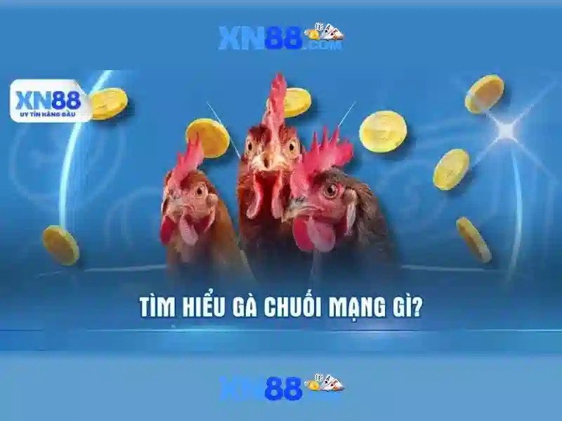 💎nhà cái tm6💎