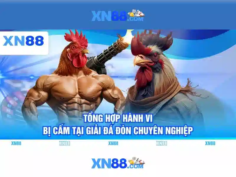  hỗ trợ khách hàng - XN88