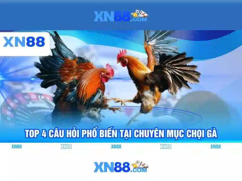 💎top nhà cái uy tín 2021💎
