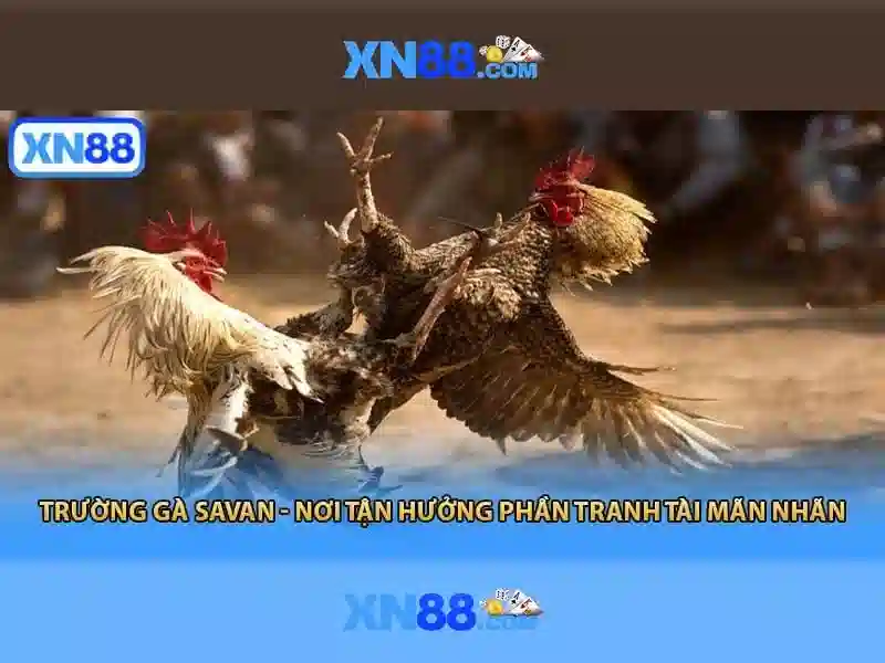 💎tỷ lệ kèo nhà cái bóng đá euro hôm nay💎