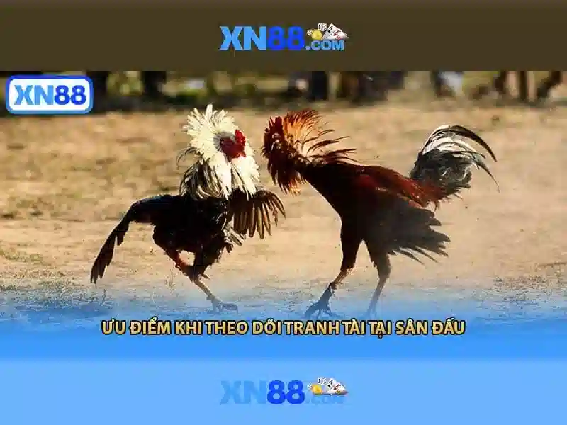 💎nhà cái uy tín .💎