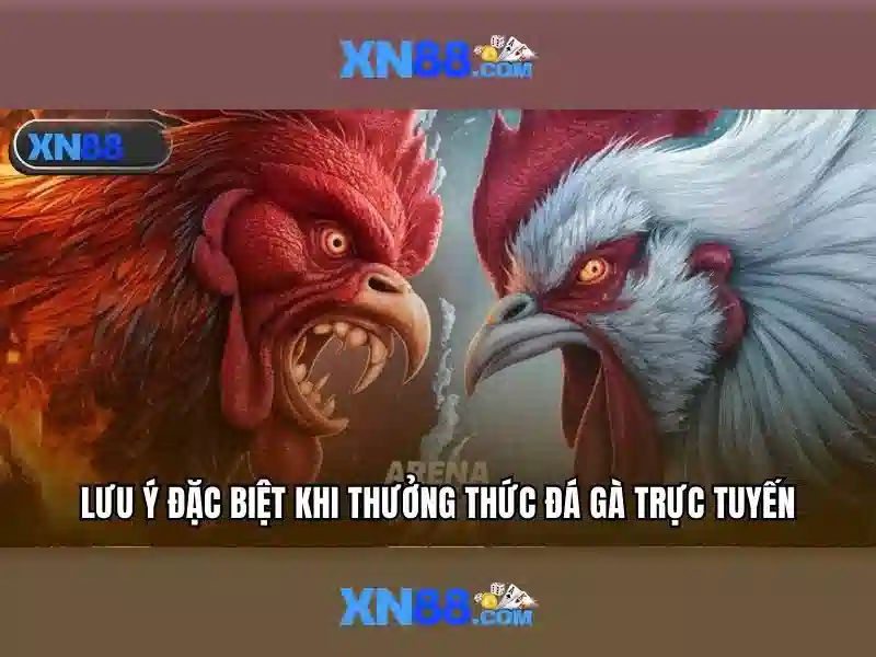 💎kèo nha cai tekmira💎