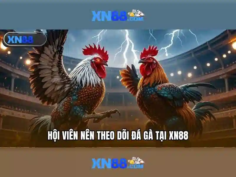 💎tải xn88 ios💎