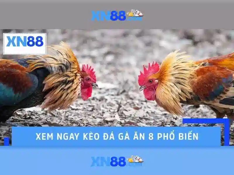 💎sv88 the thao💎 - sv88 dang ky - nạp tiền sv88