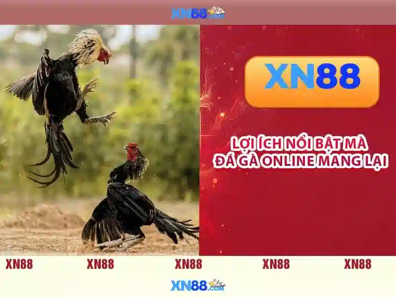 💎uk88 hà nội💎 - uk88 thái bình - uk88 life 50