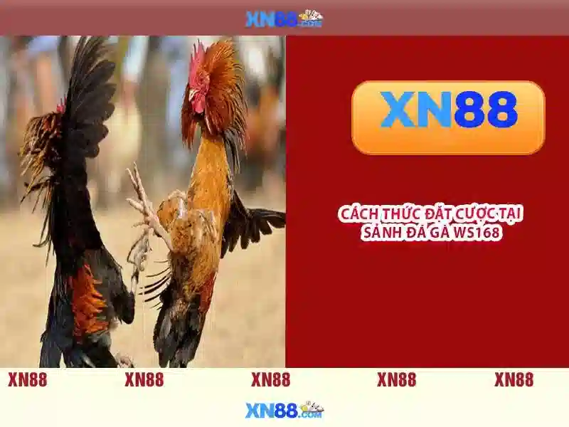 💎app hb88 com💎 - hb88 win - facebook facebook hb88