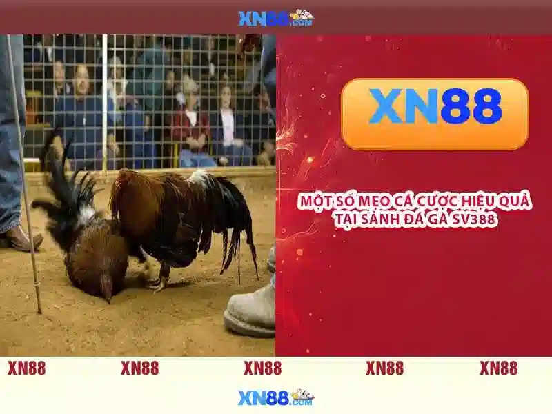 💎caesars slot machine💎