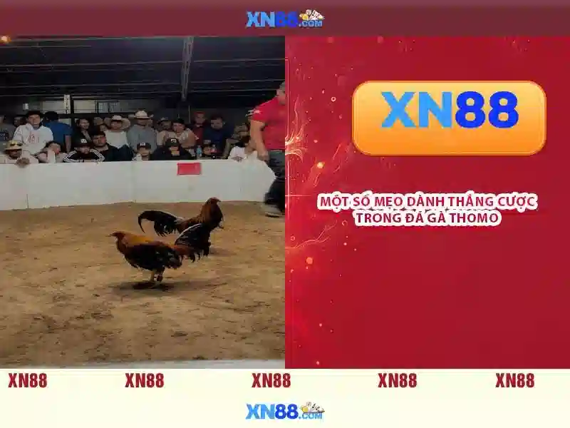 💎imba slot gacor💎