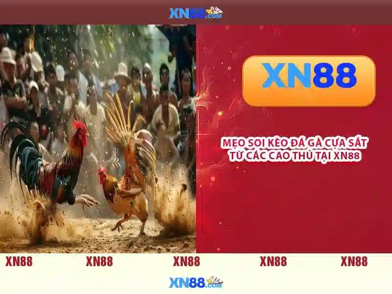 💎78win01 trang cá cược💎