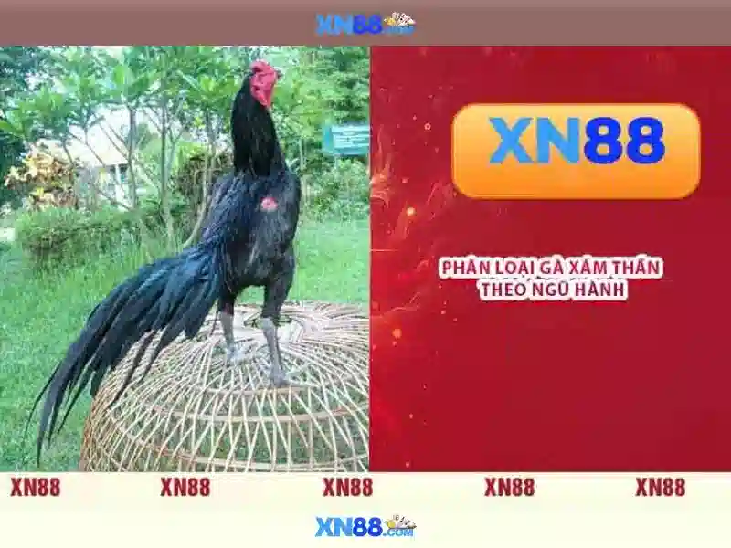 💎egt slot oyunları💎
