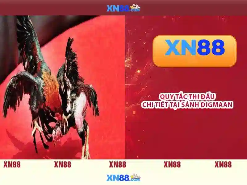 💎nhà cái bóng đá uy tín blockupy-frankfurt💎