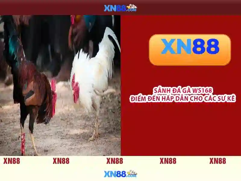 💎phim song bac 2022💎