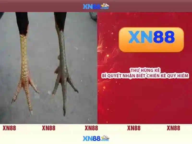 💎kèo nhà cái trận anh vs đức💎