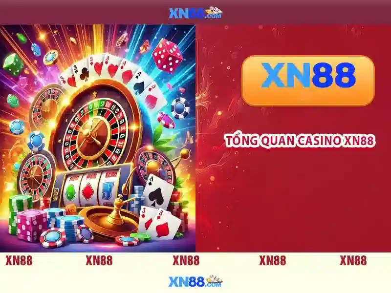 💎trang web xem tỷ lệ cá cược bóng đá💎