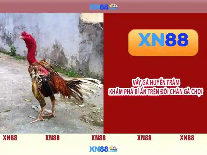 💎uk88 expres💎 - uk88 khánh hòa - uk88 tải app