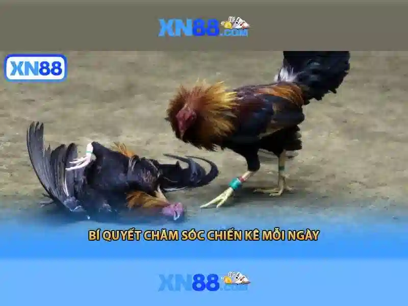 💎game slot 3d💎