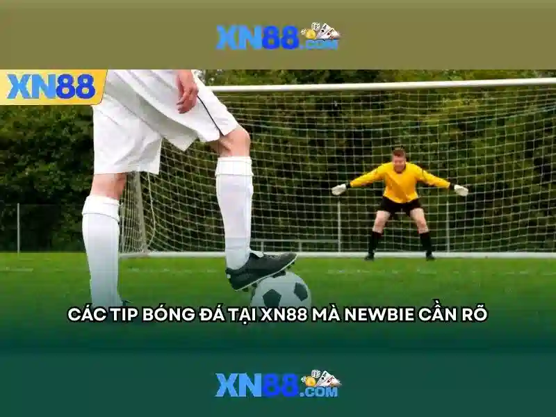 💎tỷ lệ cá cược hôm nay và ngày mai💎