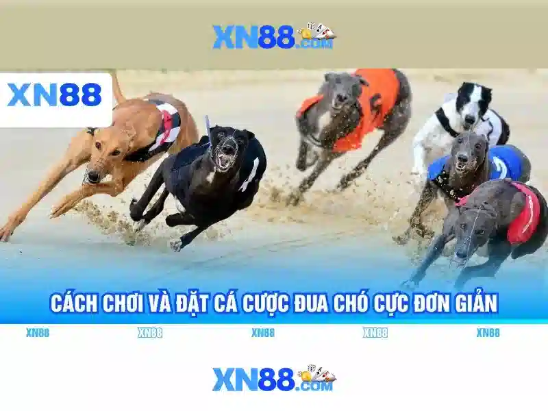 💎link fabet tv💎 - fabet news fabetb com - fabet bip