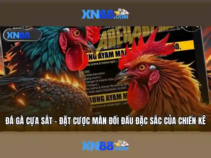 💎tỷ lệ nhà cái alo💎