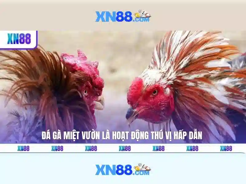 💎m88 trang cá cược thể thao💎