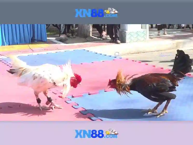 💎nhà cai uy tín 168💎