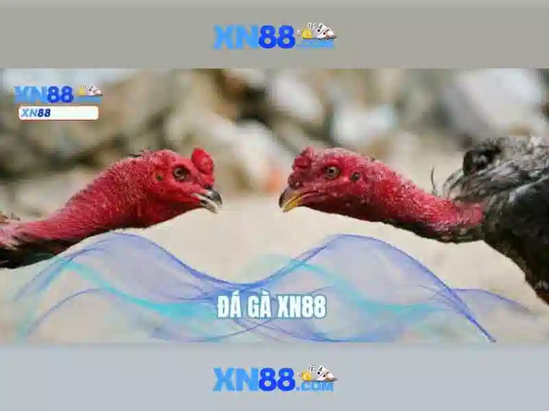 💎chỉnh nha mắc cài mặt lưỡi💎