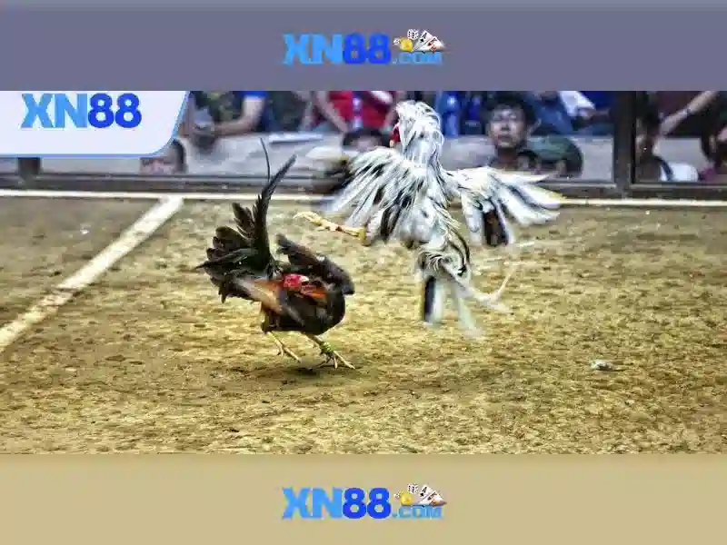 💎vegas slots 888💎