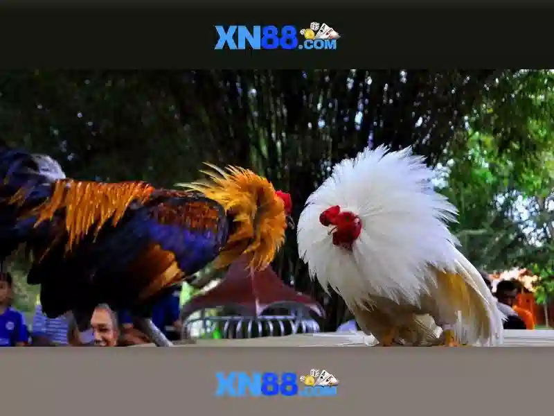 💎nugget reno slots💎